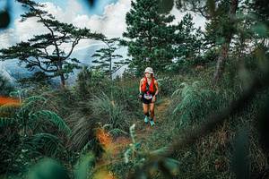 BIB: 
                            <button type="button" onclick="openModal(25259224)" class="btn btn-primary btn-sm float-right btn-popup" data-toggle="modal" data-target=".modal-high-quality">
                        <i class="fas fa-shopping-cart"></i> Add to Cart
                    </button>
                                            <button type="button" onclick="isThisMe(25259224, true)" class="btn btn-success btn-sm float-right btn-popup btn-isme hidden" data-toggle="tooltip" data-placement="bottom" title="นี่คือรูปของคุณใช่ไหม คลิกที่นี่เพื่อเอาเข้าอัลบั้ม">
                        <i class="fas fa-plus"></i> Add to album
                    </button>
                    <button type="button" onclick="isThisMe(25259224, false)" class="btn btn-warning btn-sm float-right btn-popup btn-isnotme hidden">
                        <i class="fas fa-ban"></i> Remove from album
                    </button>